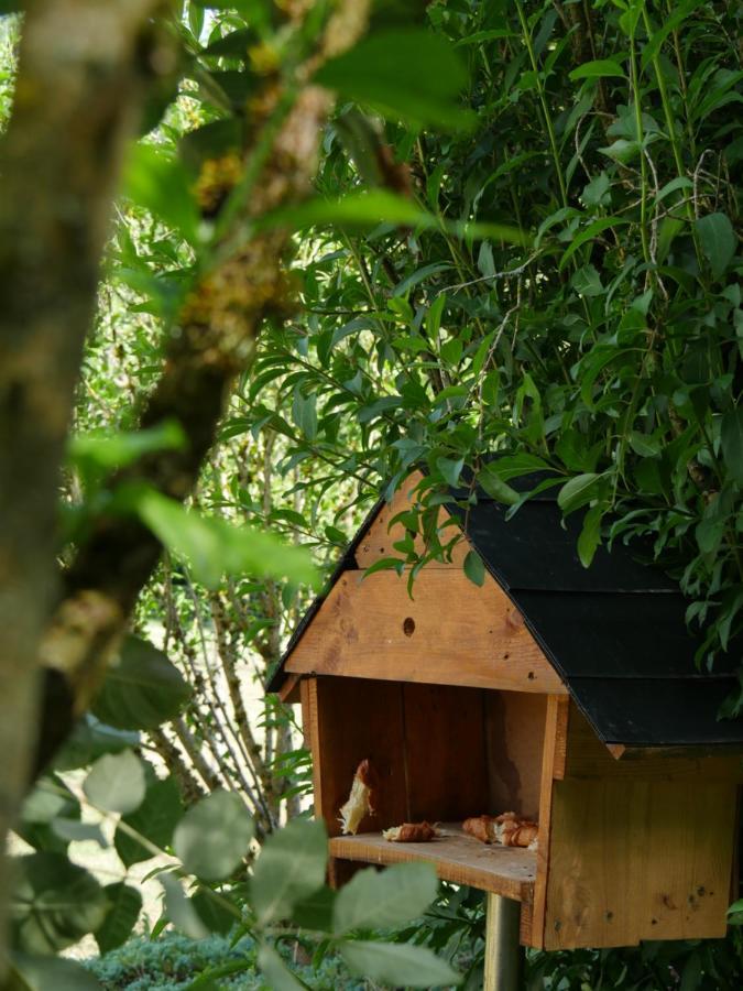 La Maison Des Oiseaux Vandrimare エクステリア 写真